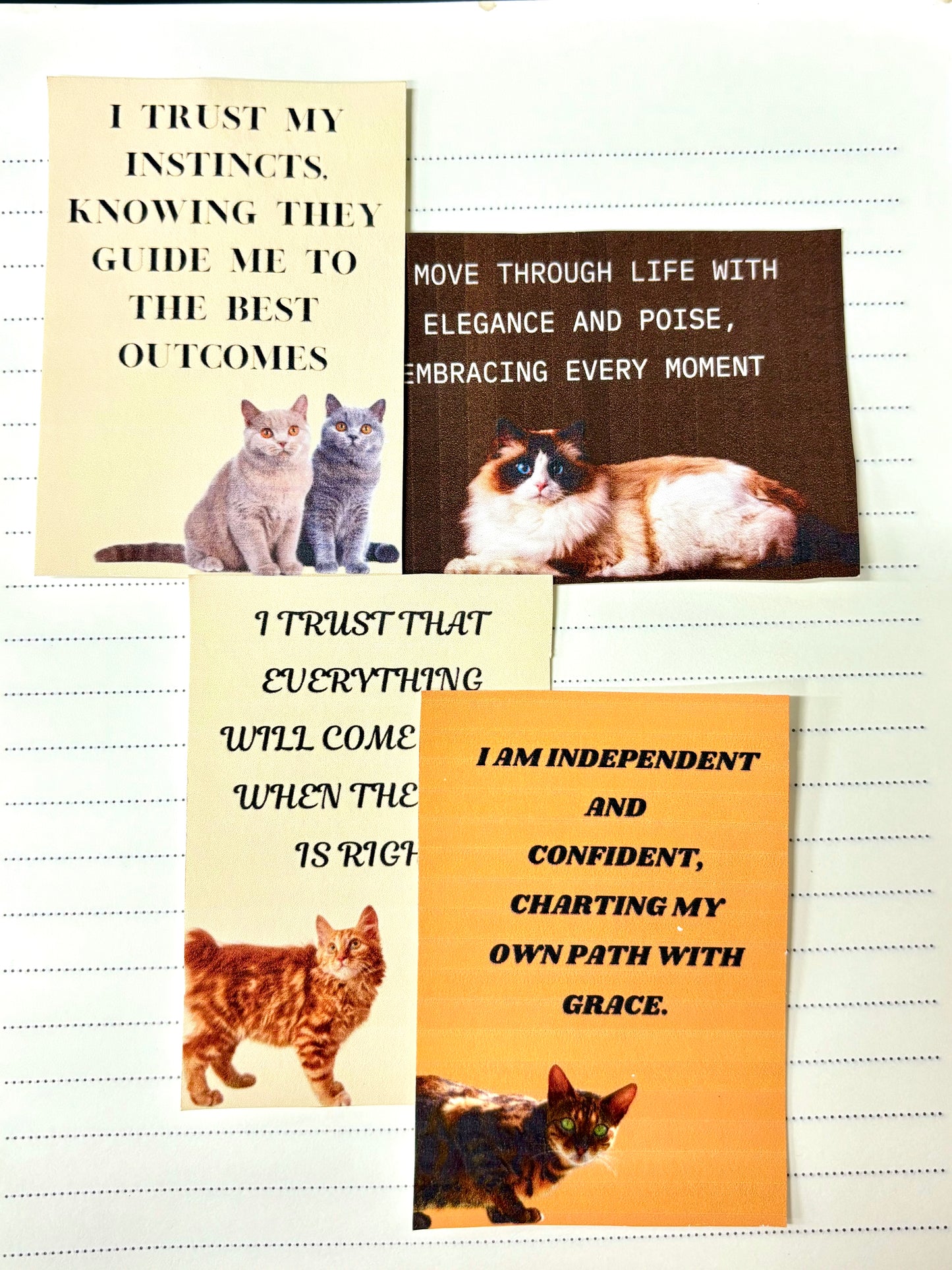 Cat Inspired Affirmation Cards - download