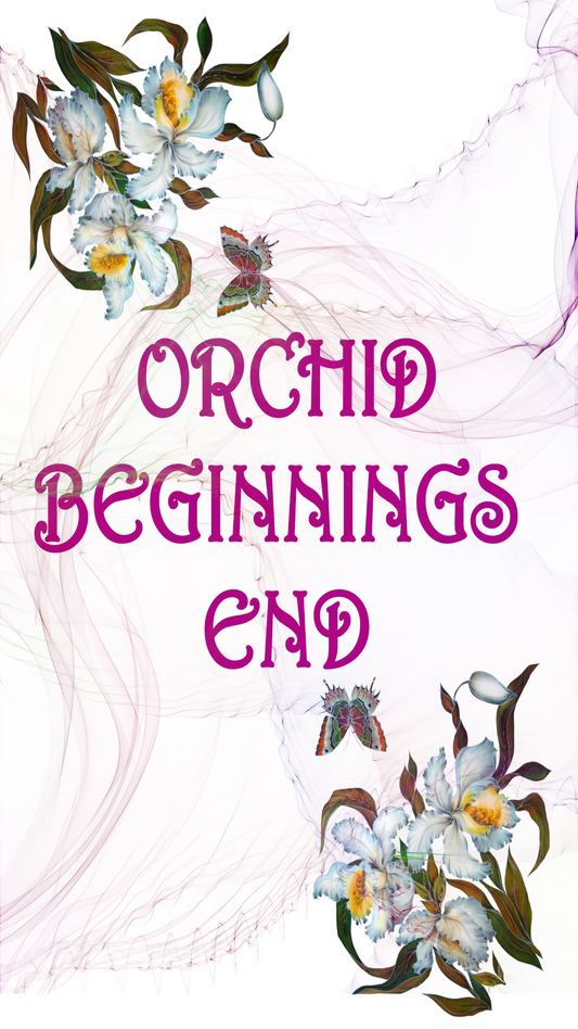 Orchid Beginnings Wallpaper